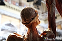 VBS_2823 - Mostra Body Worlds